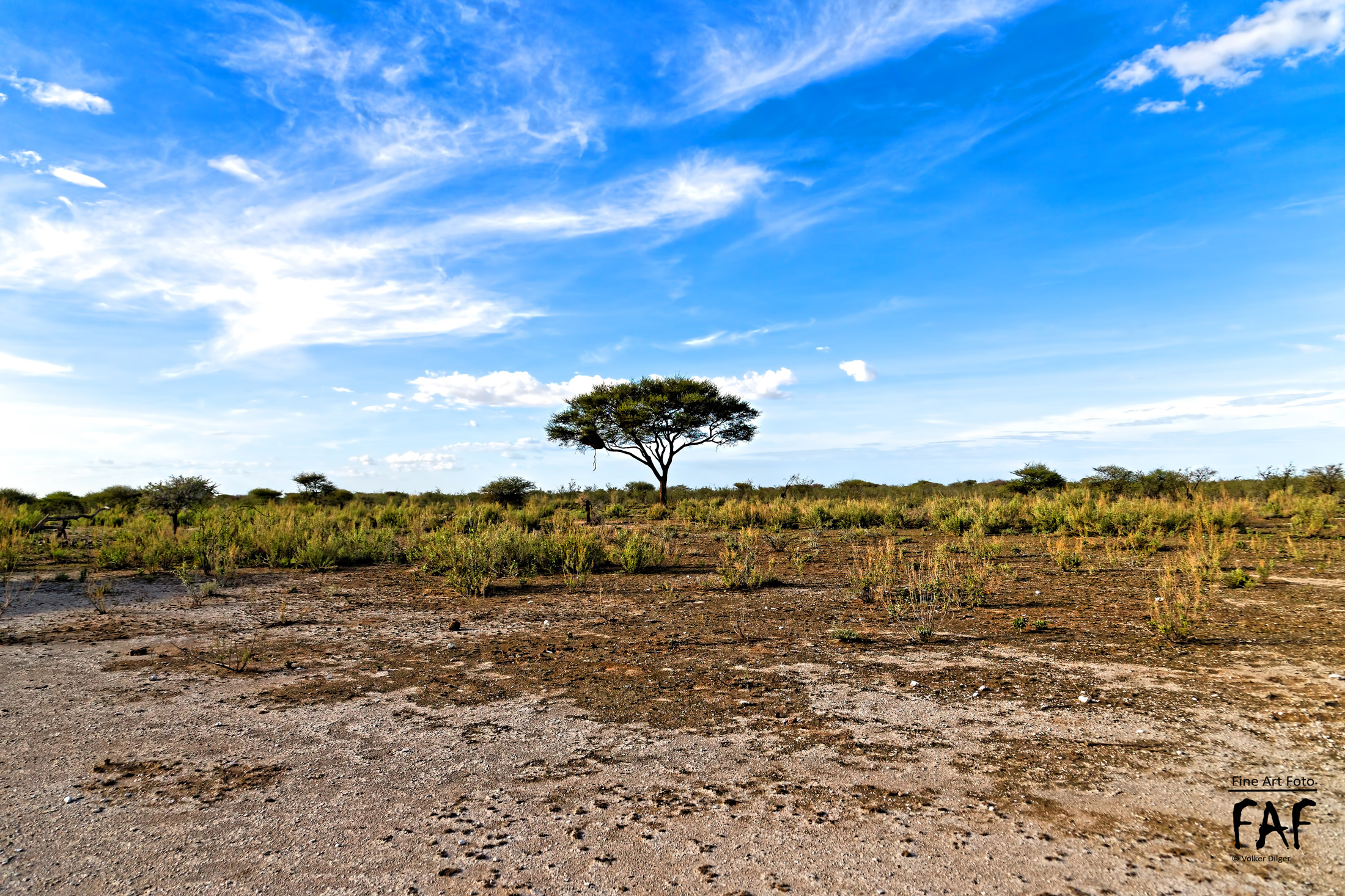 Etosha