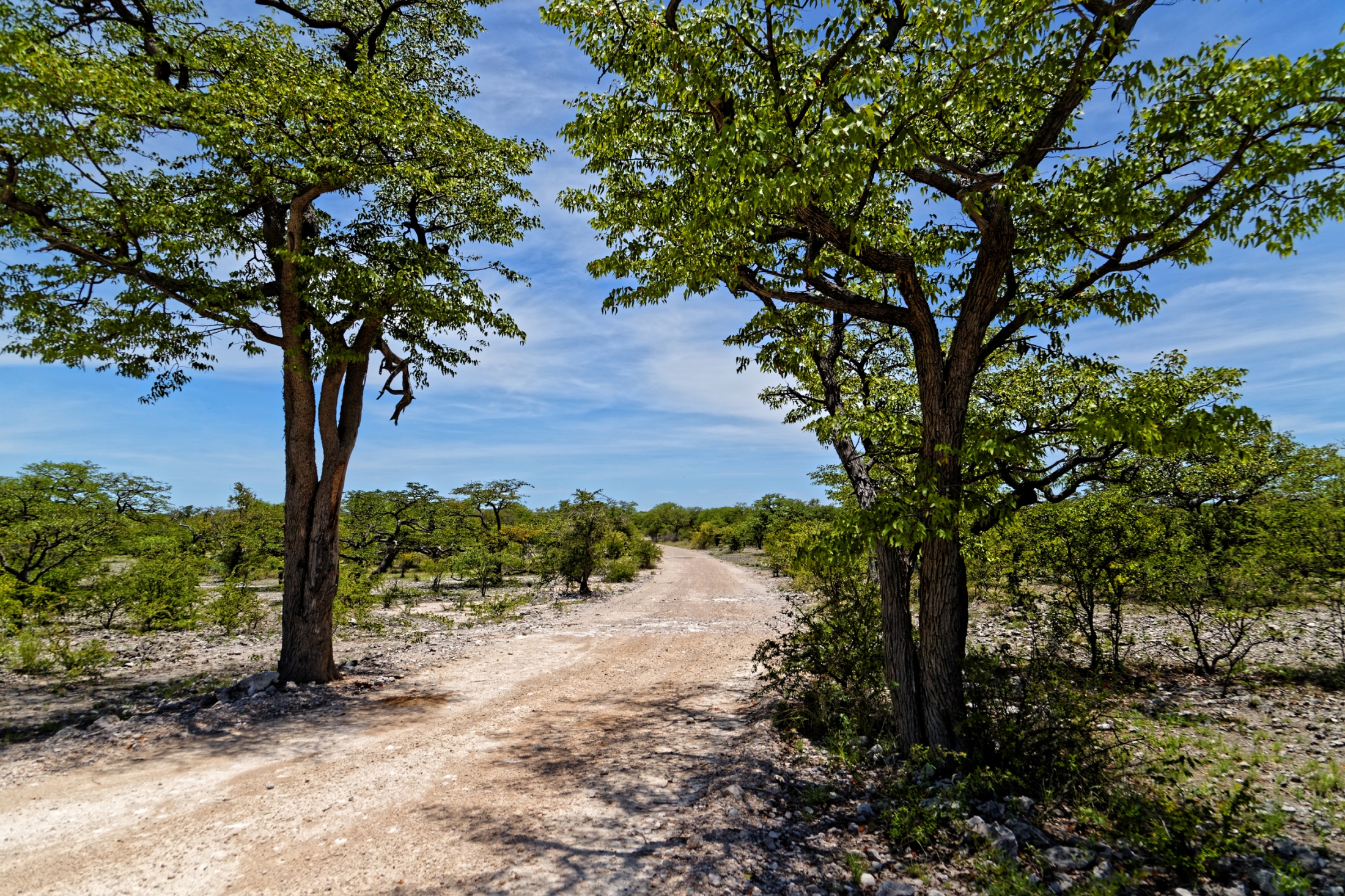 Okawango Trough