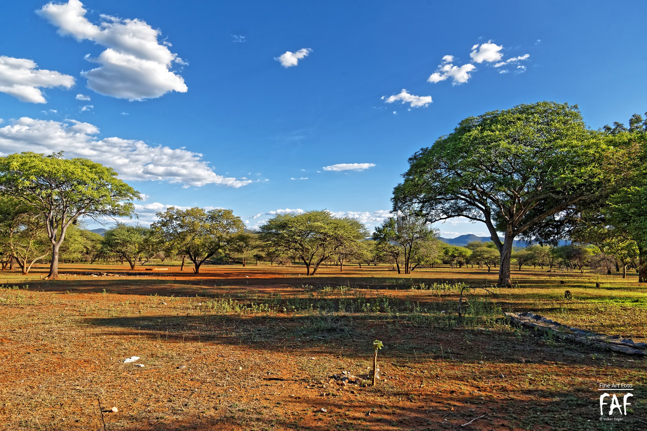 Water Hole