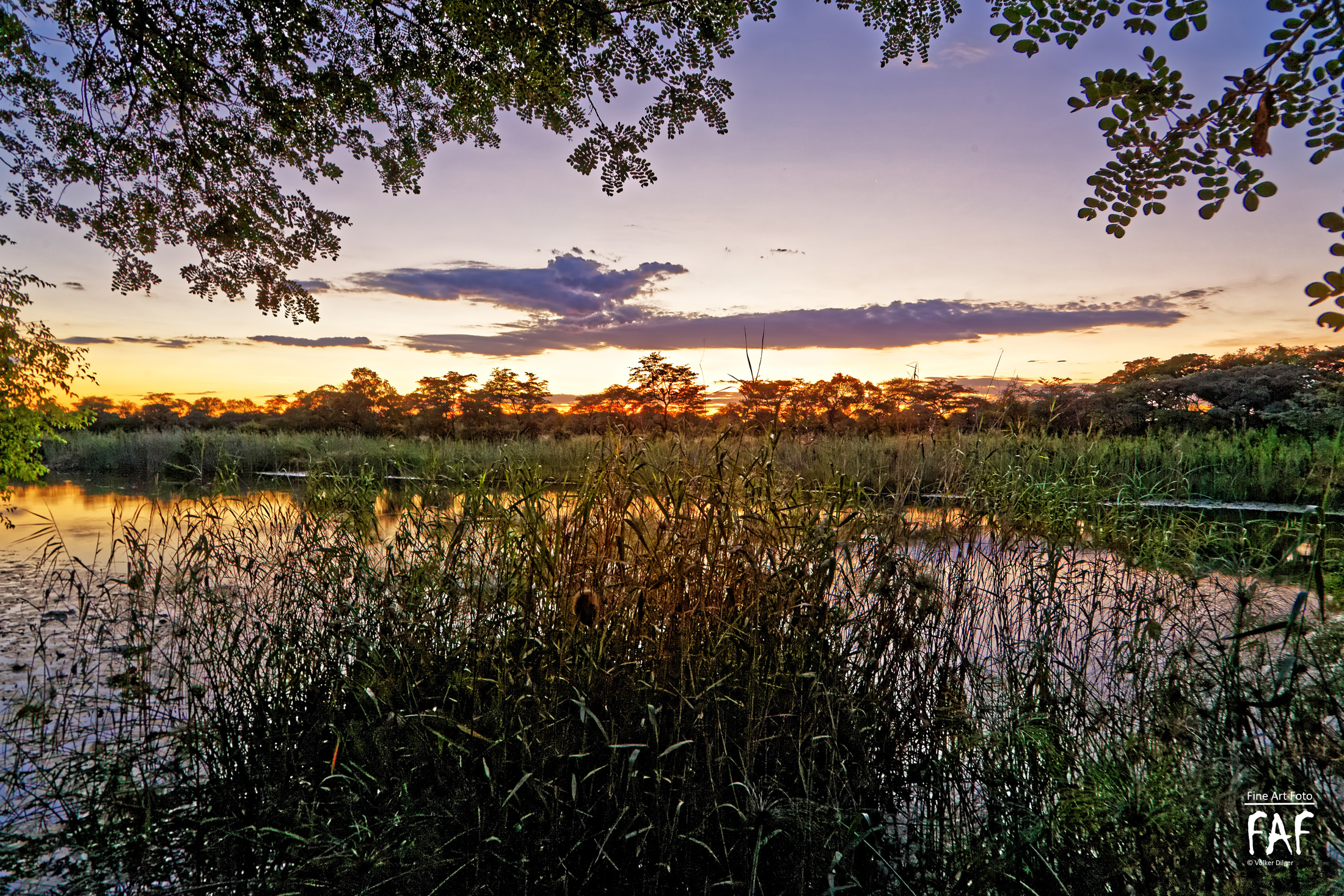 Kwando River II