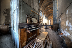 Organ with a view